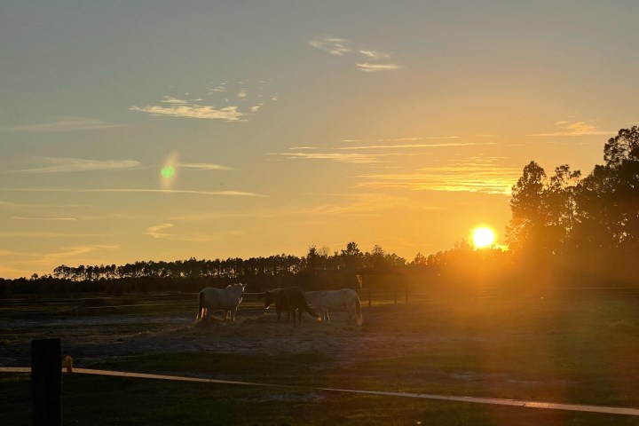 a sunset over a body of water