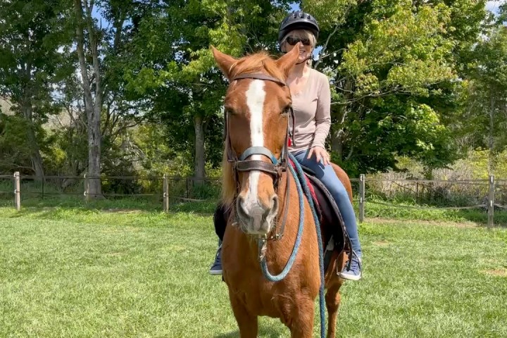 a person riding on the back of a brown horse