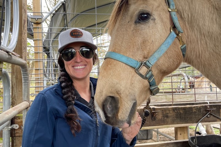 a person standing next to a horse
