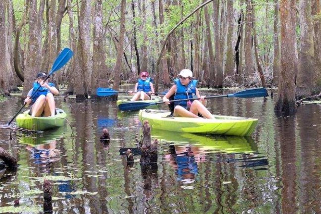 a group of people rowing a boat in the water
