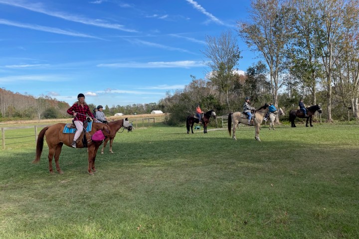 a group of people riding on the back of a horse in a field