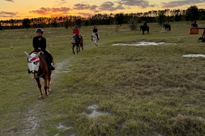 a group of people on a field