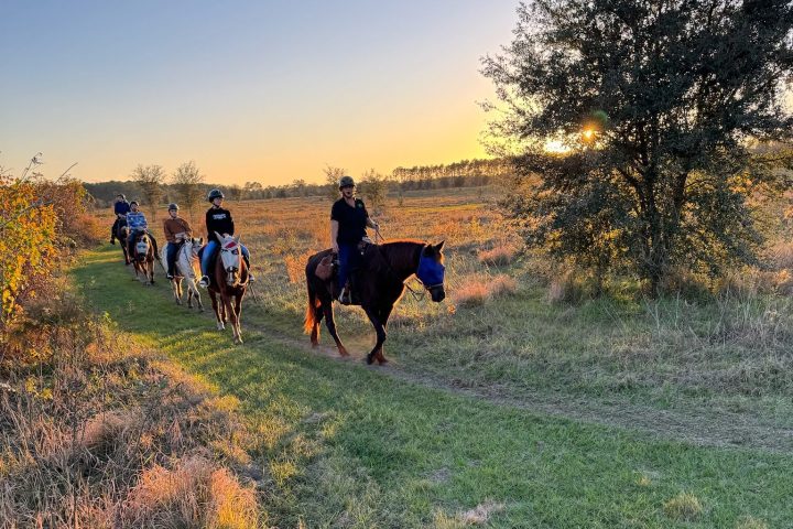 a group of people riding on top of a grass covered field