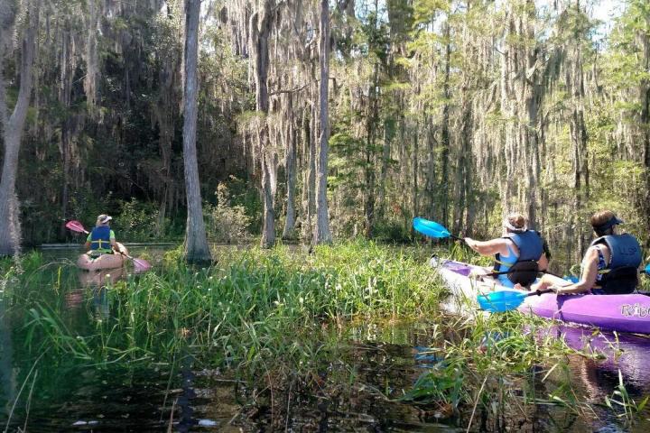 a group of people on a raft in a forest