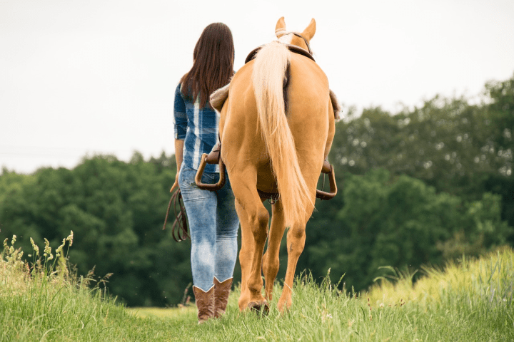 a brown horse standing on top of a grass covered field