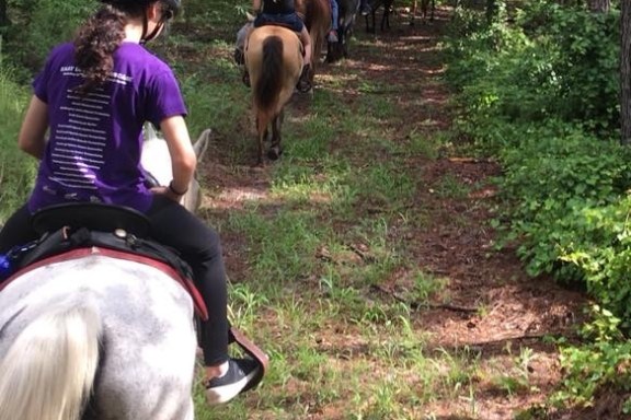 a person riding a horse in a forest