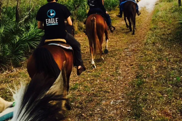 a group of people riding on the back of a horse