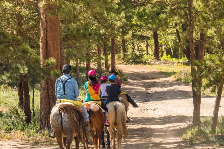 a man riding a horse in a forest