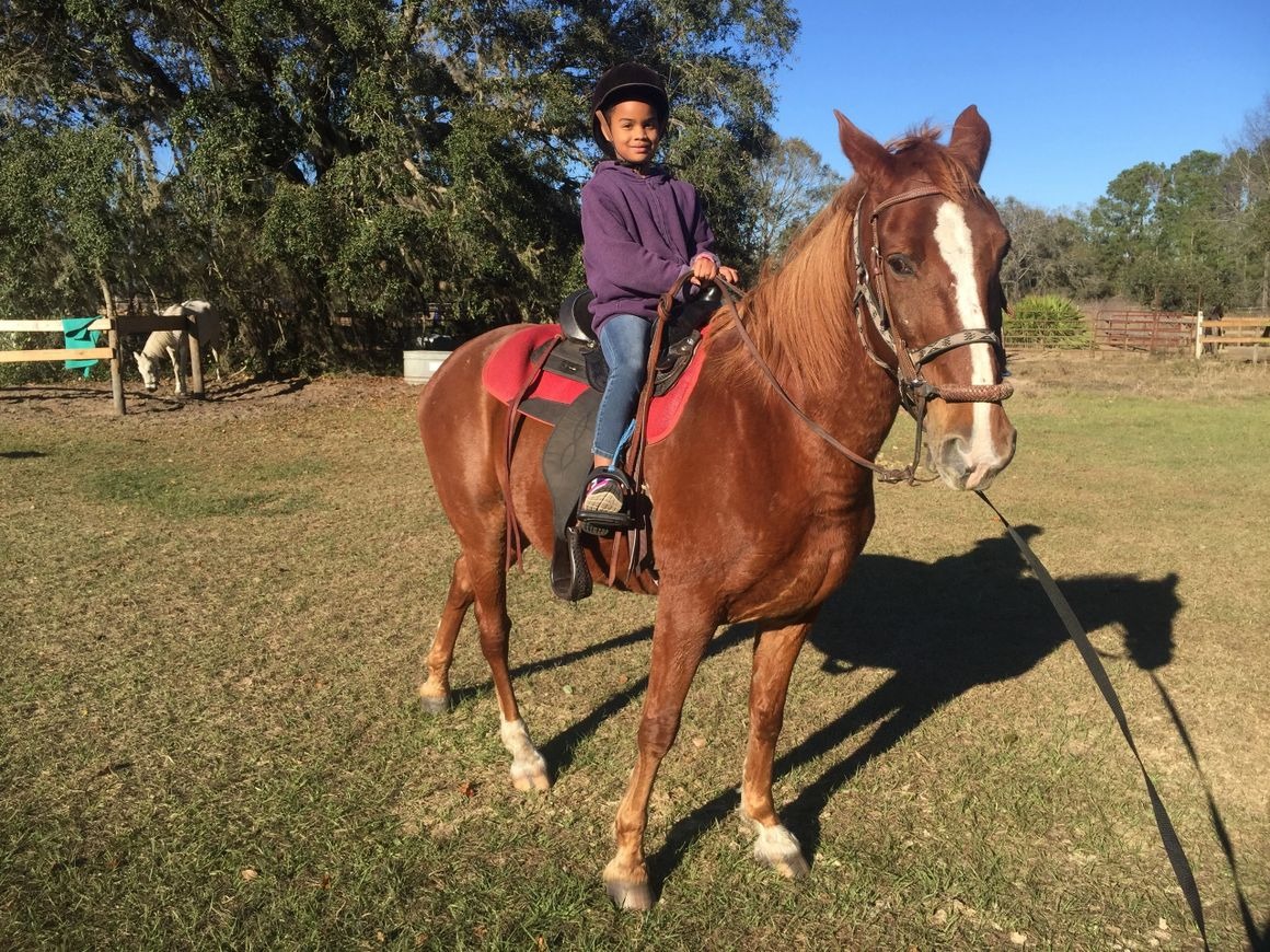 rsw1160 a person riding on the back of a brown horse