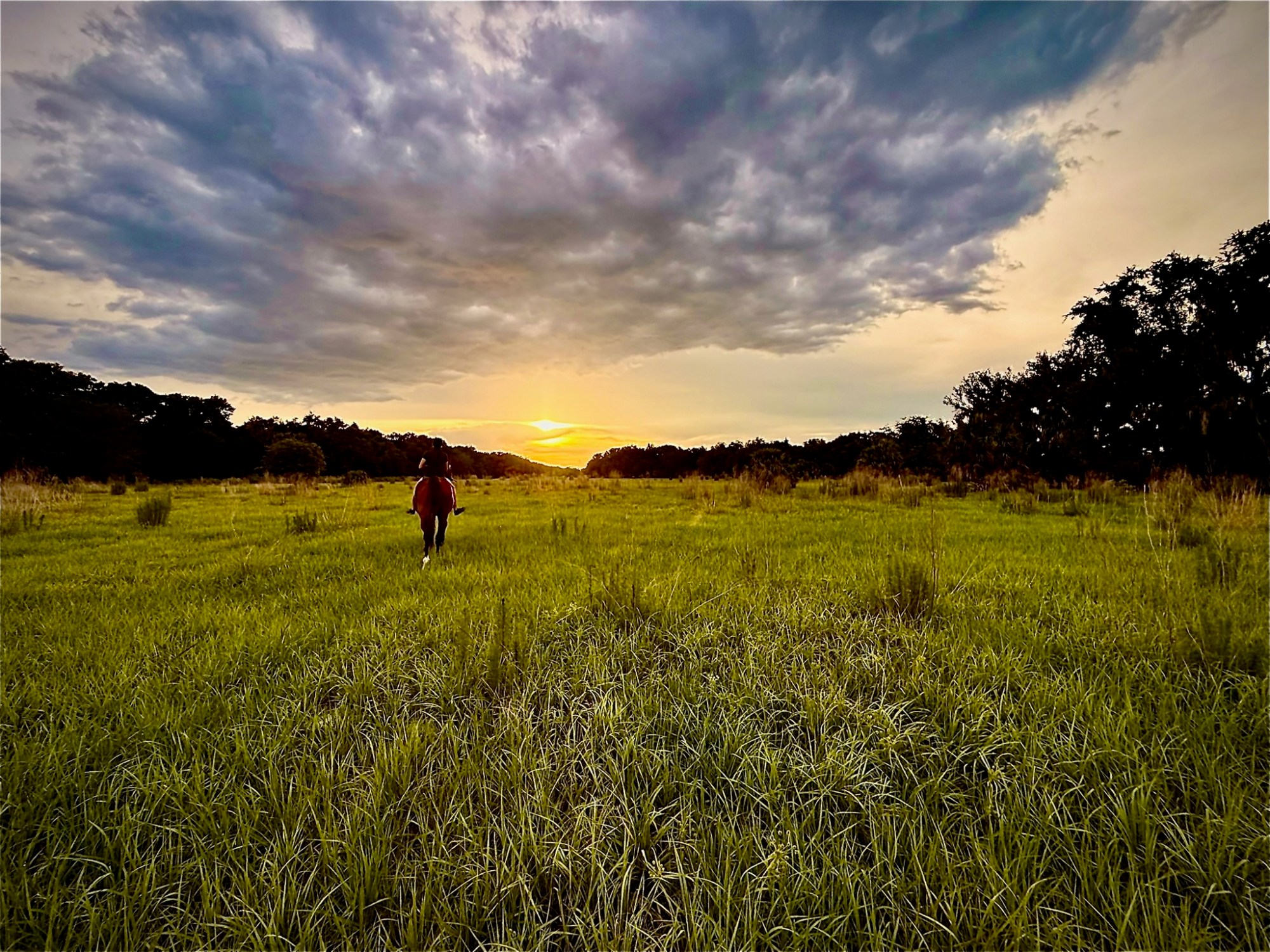 2B679217-3BD7-47FF-B06A-1C2DCC64A26F Person walking on a grassy field toward a sunset under a dramatic cloudy sky.