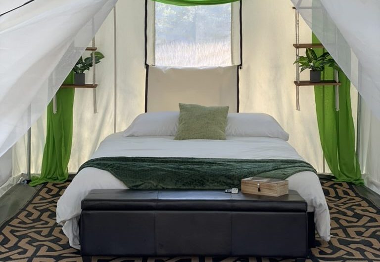 4FC04C72-3A02-4054-BDE7-0598FA50D3F4_1_105_c Glamping tent interior with bed, green decor, plants, and patterned rug.