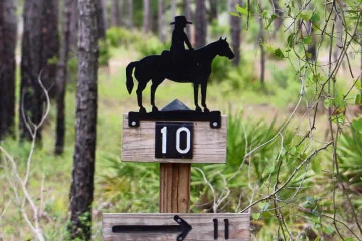 Trail sign with horse rider silhouette, number 10, and an arrow pointing to 11 in a forest.