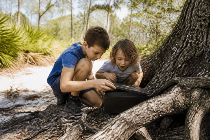 Two children excitedly open a box under a tree in a forest.