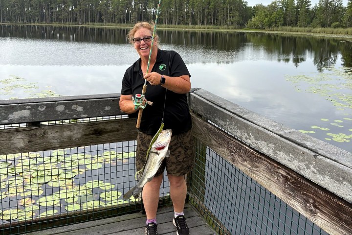 Person holding a fishing rod with a large fish on a lakeside deck.