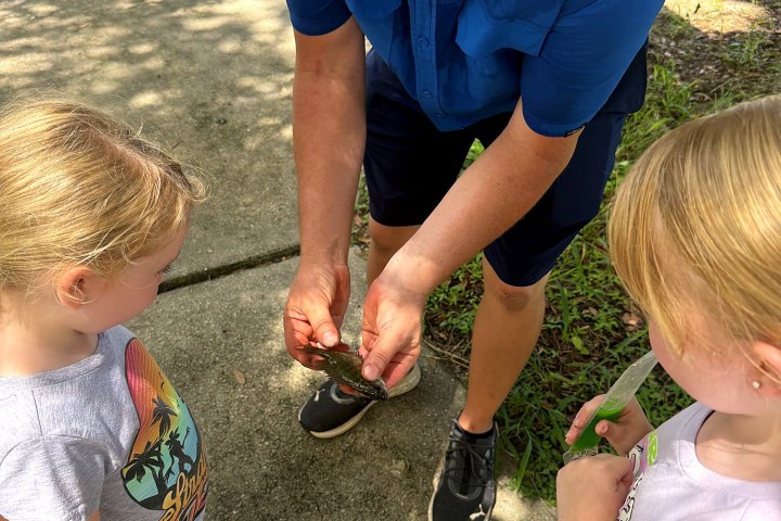 Man showing two children something in his hands outdoors.